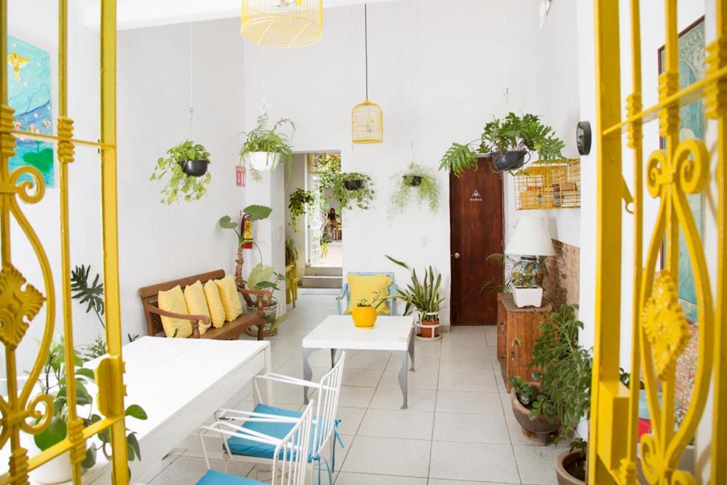 Casa Canario Hostel 과달라하라 외부 사진