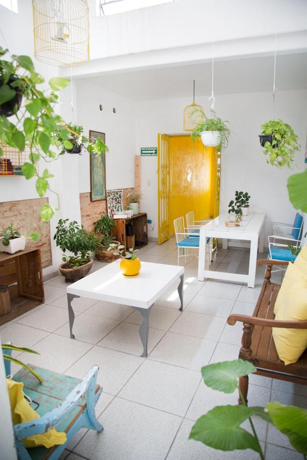 Casa Canario Hostel 과달라하라 외부 사진