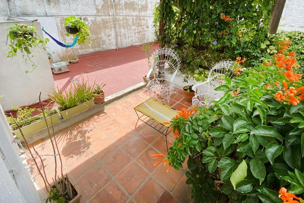 Casa Canario Hostel 과달라하라 외부 사진