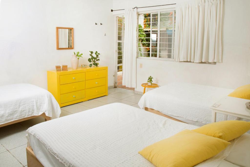 Casa Canario Hostel 과달라하라 외부 사진
