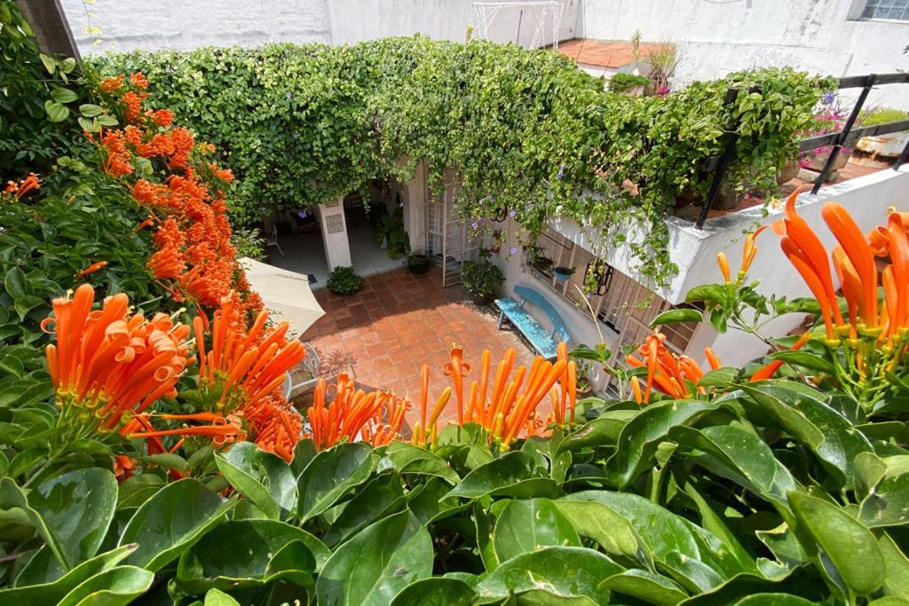 Casa Canario Hostel 과달라하라 외부 사진
