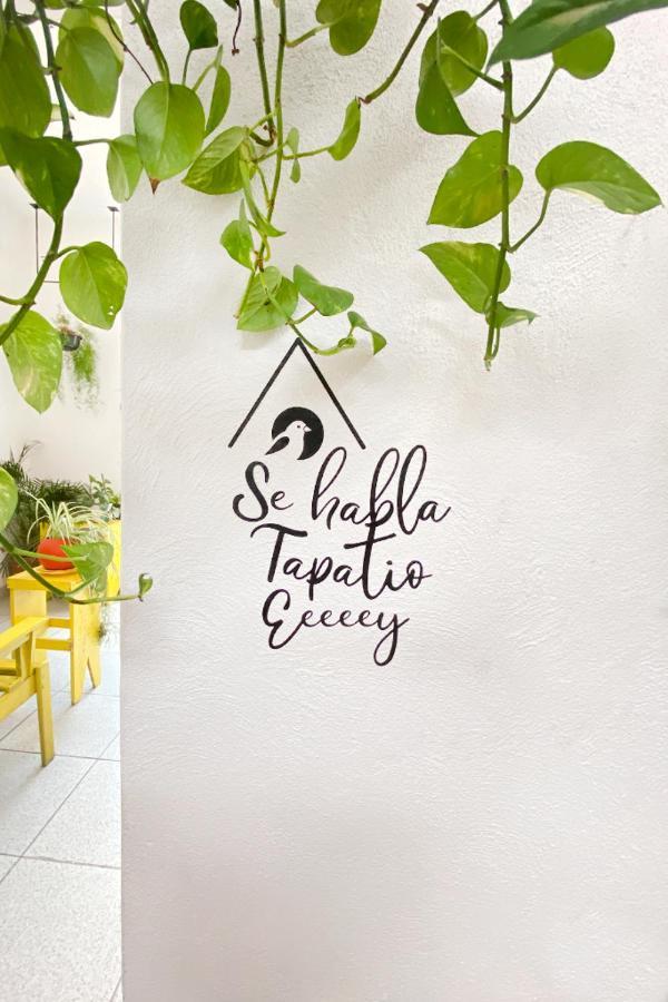 Casa Canario Hostel 과달라하라 외부 사진