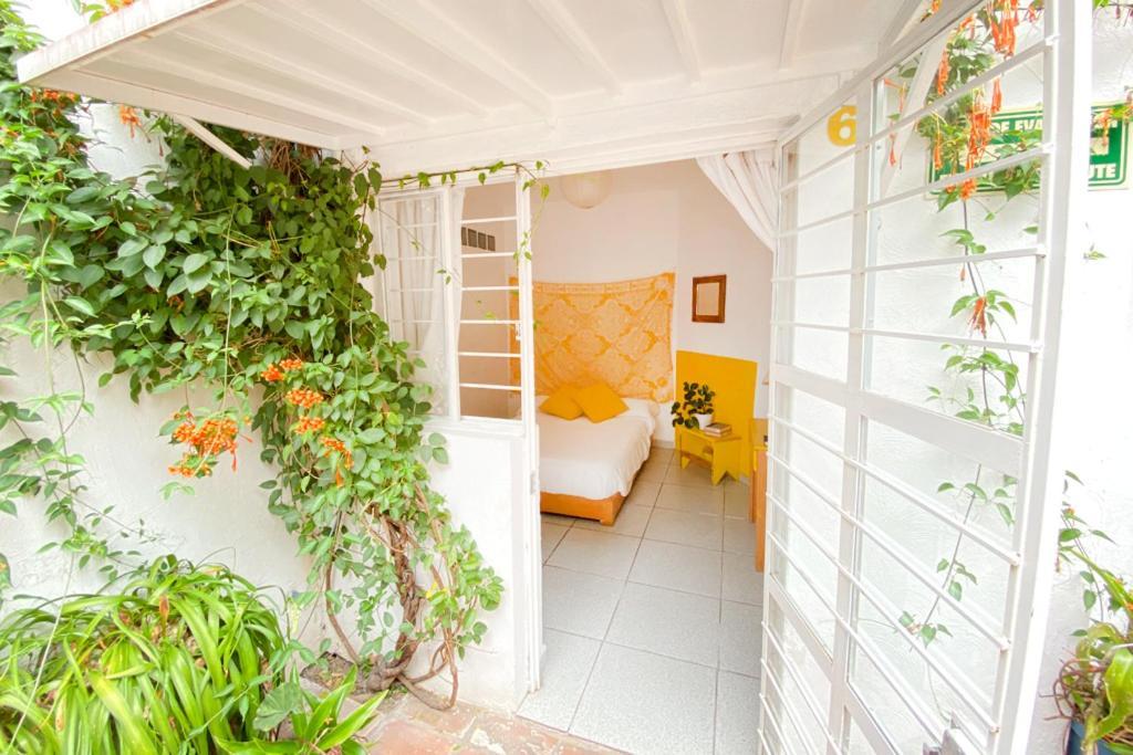 Casa Canario Hostel 과달라하라 외부 사진