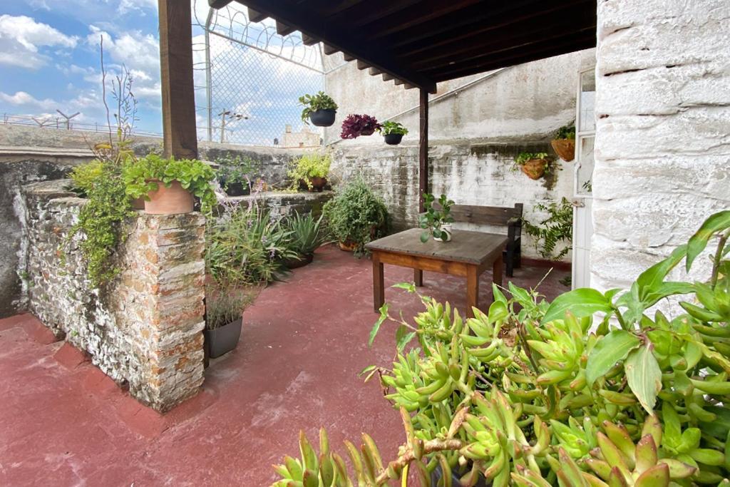 Casa Canario Hostel 과달라하라 외부 사진